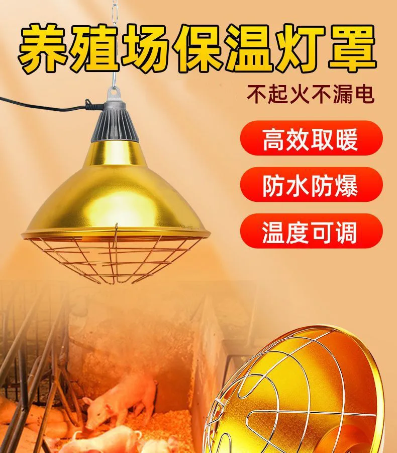 hmqViviiyNSAyin9WueUtwcG4wuuJw2NPFC4