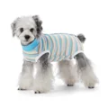 blue pink stripes