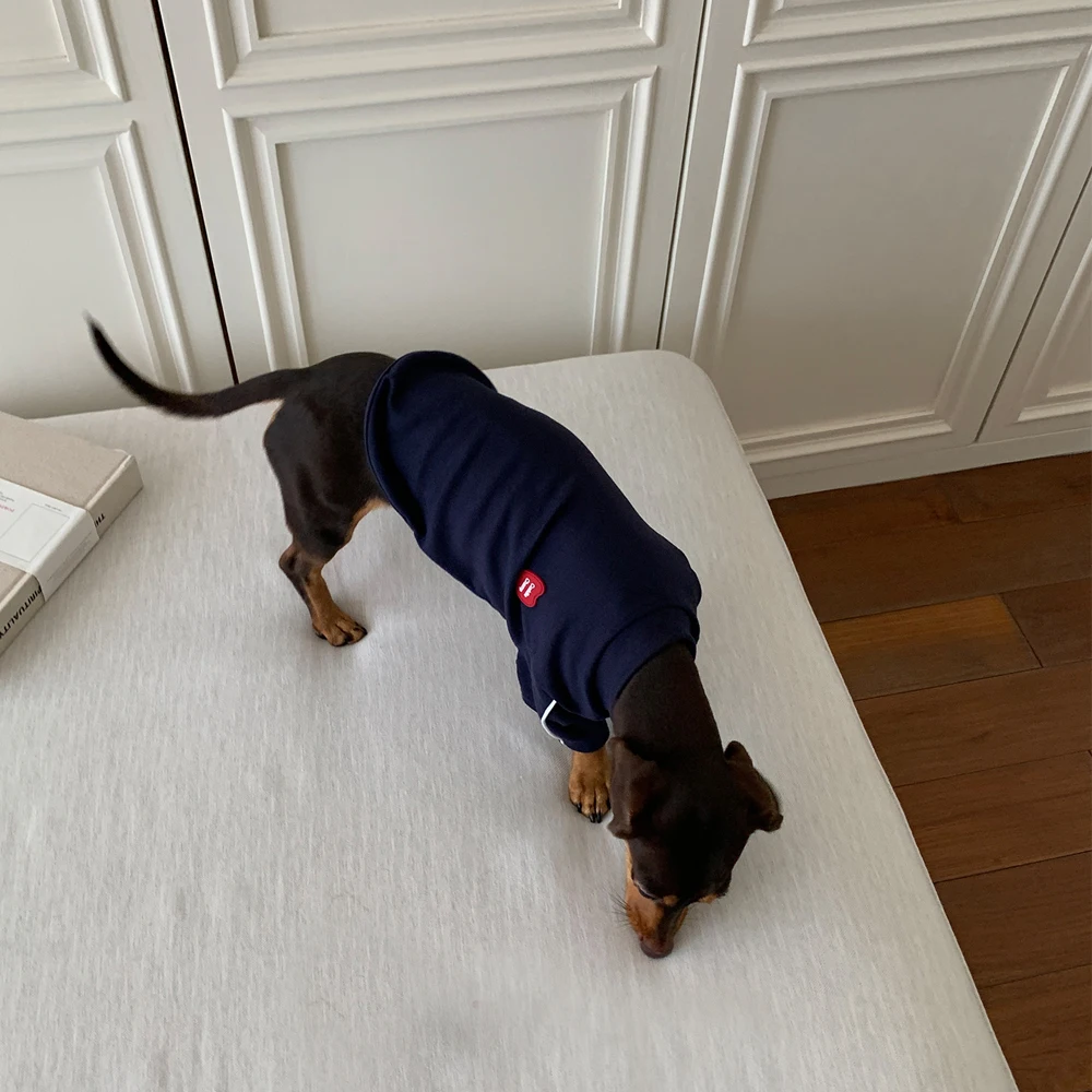 Abrigo reflectante primavera para perro Dachshund – Disfraz adorable - imagen 5