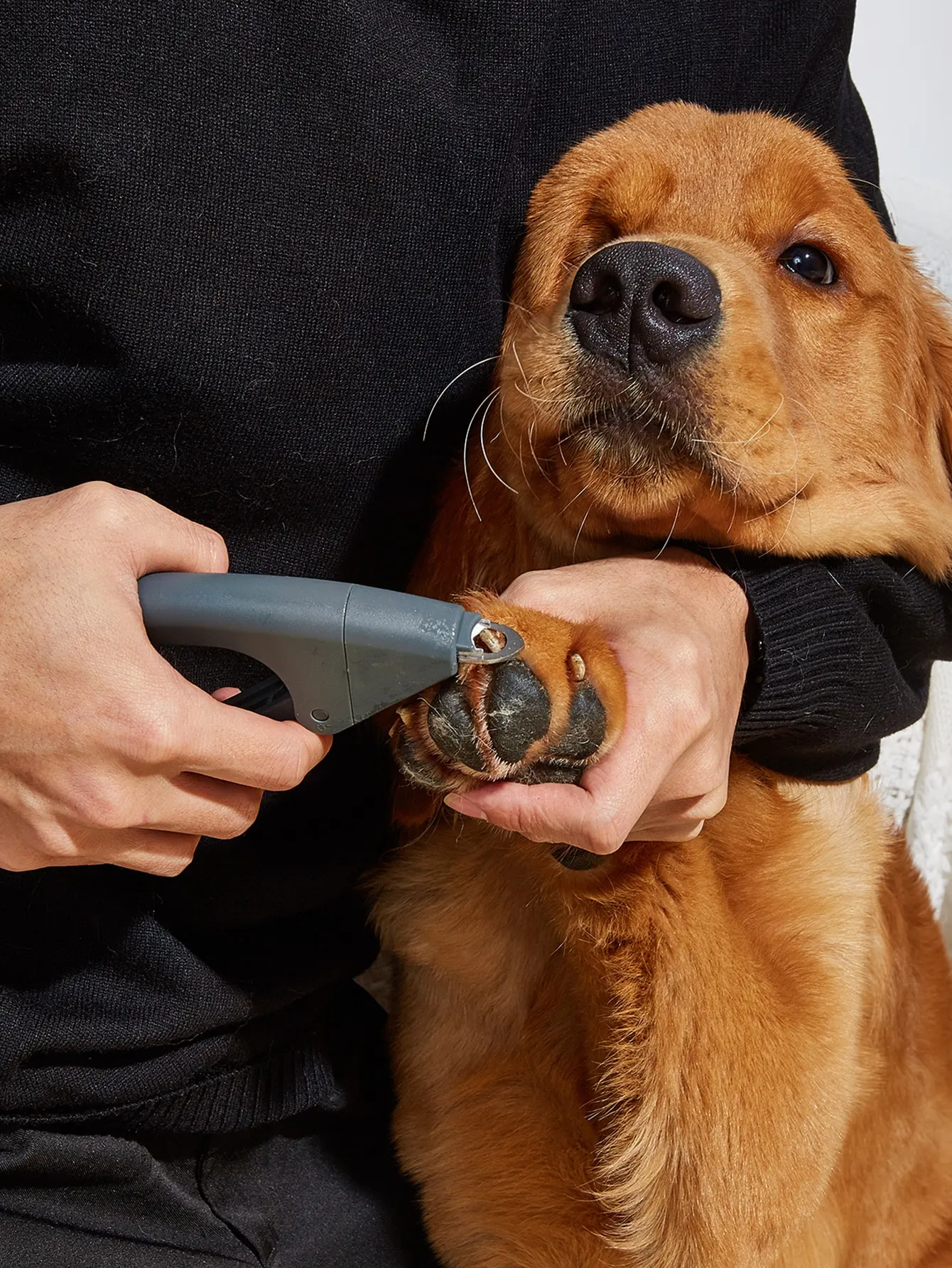 1 cortaúñas multifuncional de acero inoxidable. - imagen 2