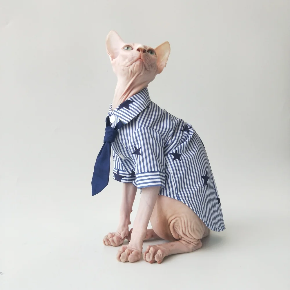 Camisa de estrella a rayas estilo caballero británico con corbata para Sphinx Cat Primavera Verano Camiseta de mangas de capullo de flor azul para gata