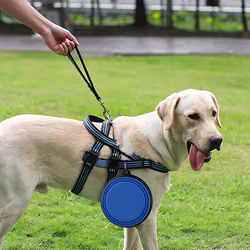 Cuenco plegable de silicona para mascotas, plato de agua portátil para comida de viaje con mosquetón para mascotas, alimentador plegable para acampar al aire libre y senderismo