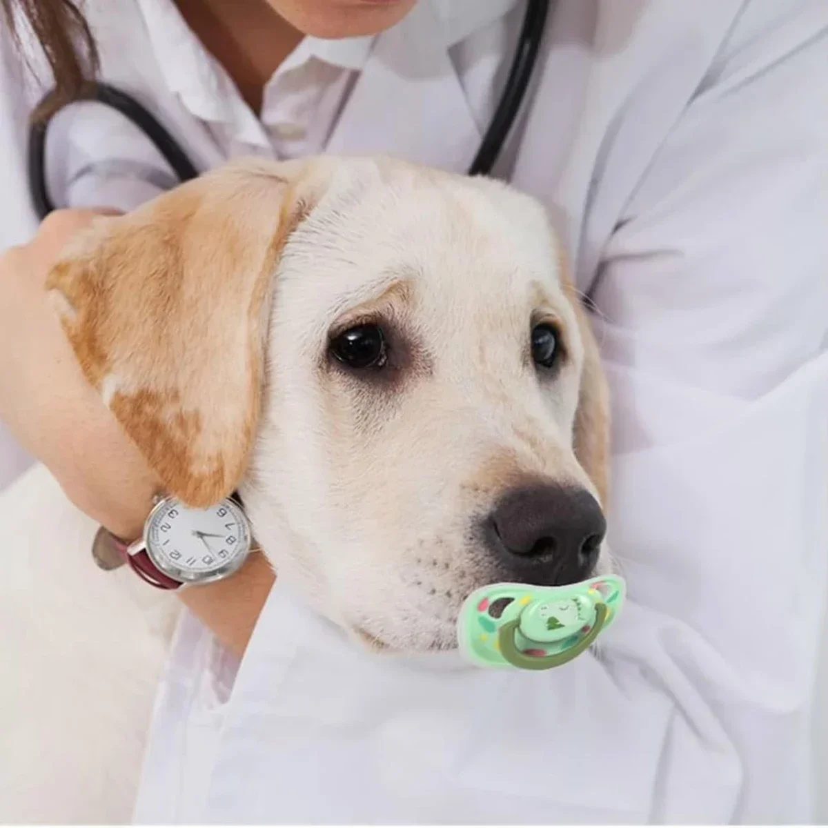Juguete Molar de silicona para gatos, comida de grado suave, resistente a mordeduras, suministros calmantes para masticar perros, chupete de silicona práctico para mascotas
