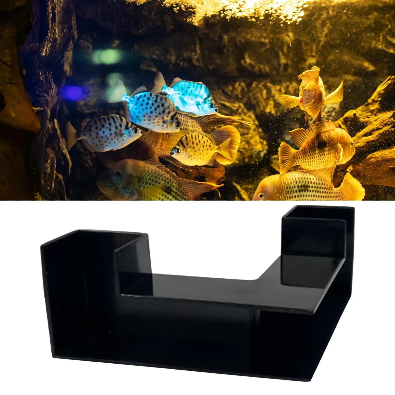 Aquarium Tunnel for Loaches Hideout with Easy Setup and Viewing Access