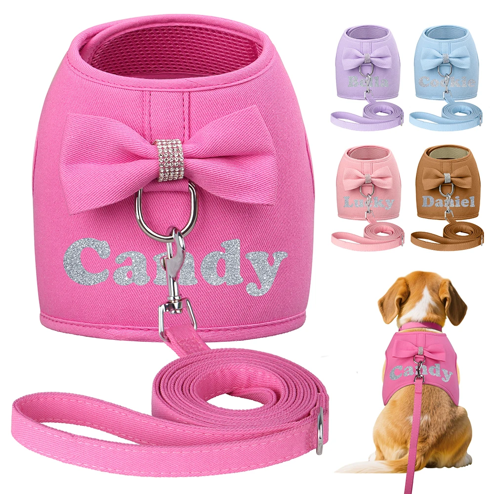 Arnés y correa personalizados para perros – Impresión de nombre incluida - imagen 2