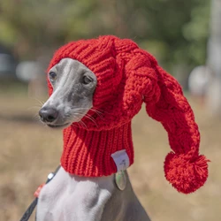 Sombrero de lana rojo para perros Whippet y Galgo Italiano - Invierno