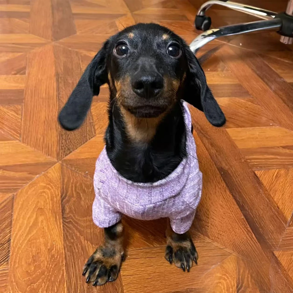 Ropa de pijama cálido para perros dachshund pequeños – púrpura - imagen 2