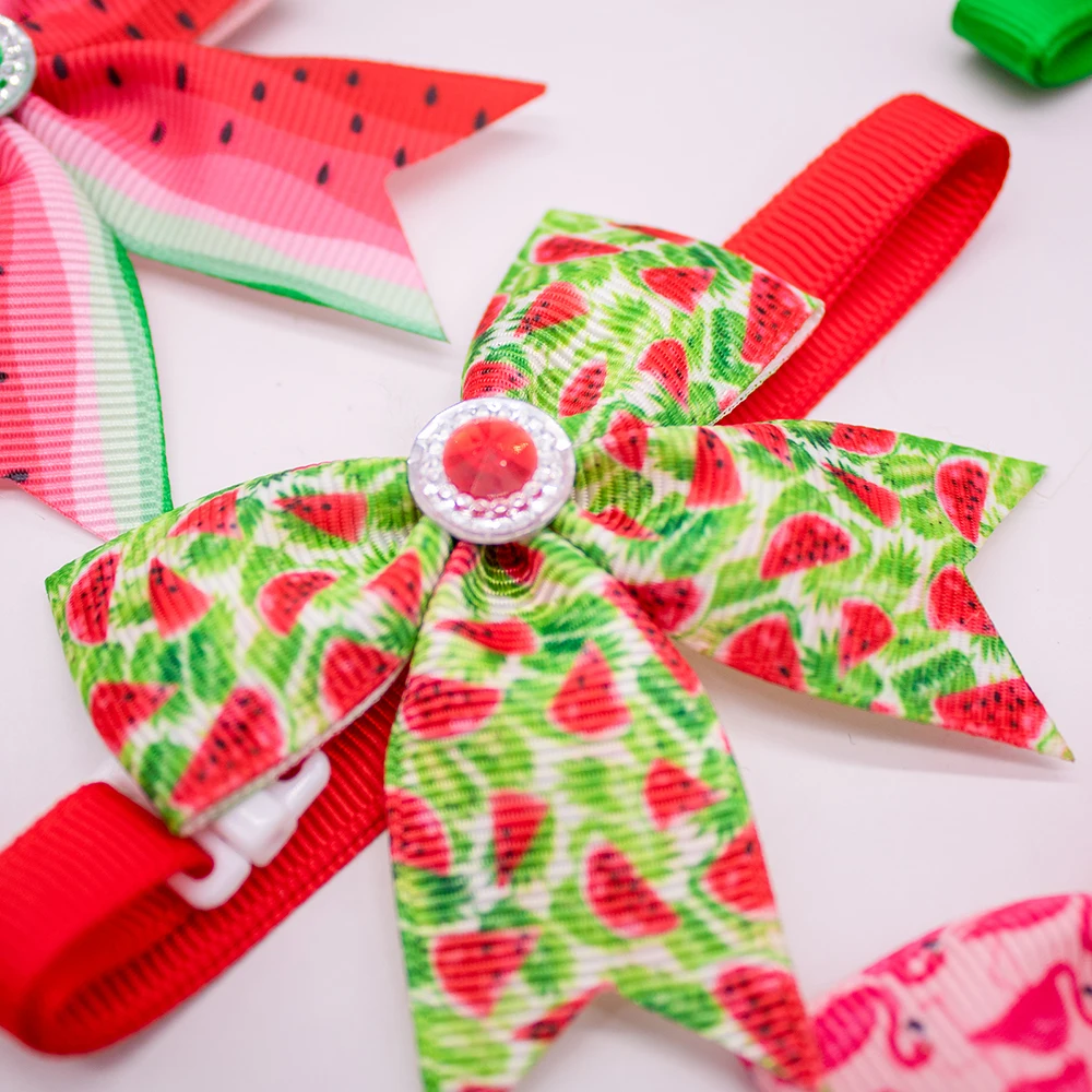 Pack 50/100 pajaritas fruta para perros y gatos - imagen 4