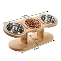 cat bowl