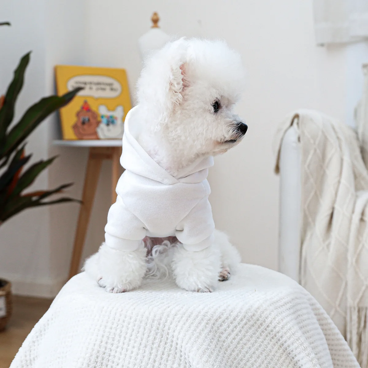 Sudadera con capucha para mascotas, ropa de bolsillo bonita para perros y gatos, sudadera blanca con sombrero, ropa para perros pequeños, Otoño e Invierno - imagen 3