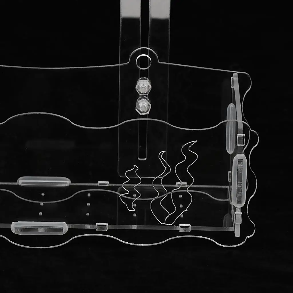 Acrylic Aquatic Plant Cup Pot Holder Aquarium Live Plant Glass Pot