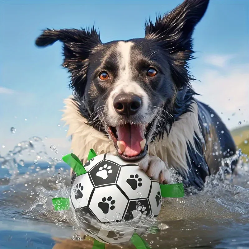 Balón de fútbol interactivo para perros, juguete resistente a mordeduras y dientes, pelota para masticar para perros, juguete para entrenar y jugar para todas las razas - imagen 2