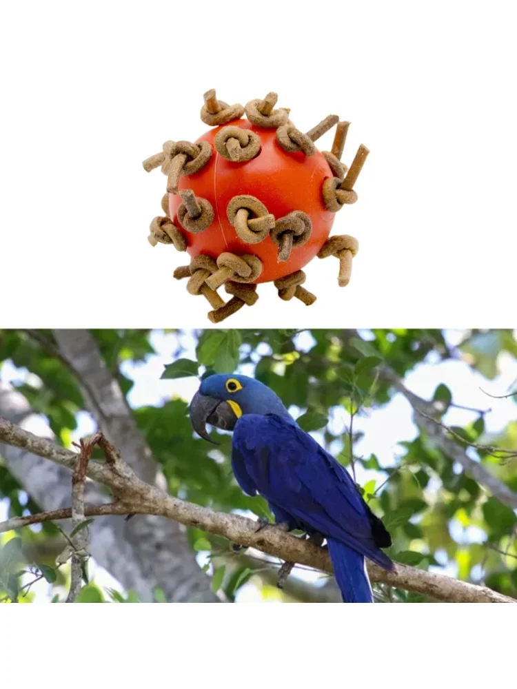 Juguete masticable de bola de pájaro con nudos, juguete de pie de 4cm de diámetro adecuado para loro amazónico guacamayo Eclectus gris africano cacatúa - imagen 4
