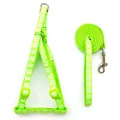 Fluorescent Green