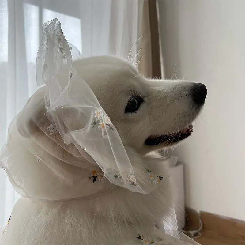 Ropa para perros grandes, traje de boda fino, vestido de novia, sombrero de pelo dorado Satsuma, vestido de perro grande, ropa de primavera y verano para mascotas - imagen 5