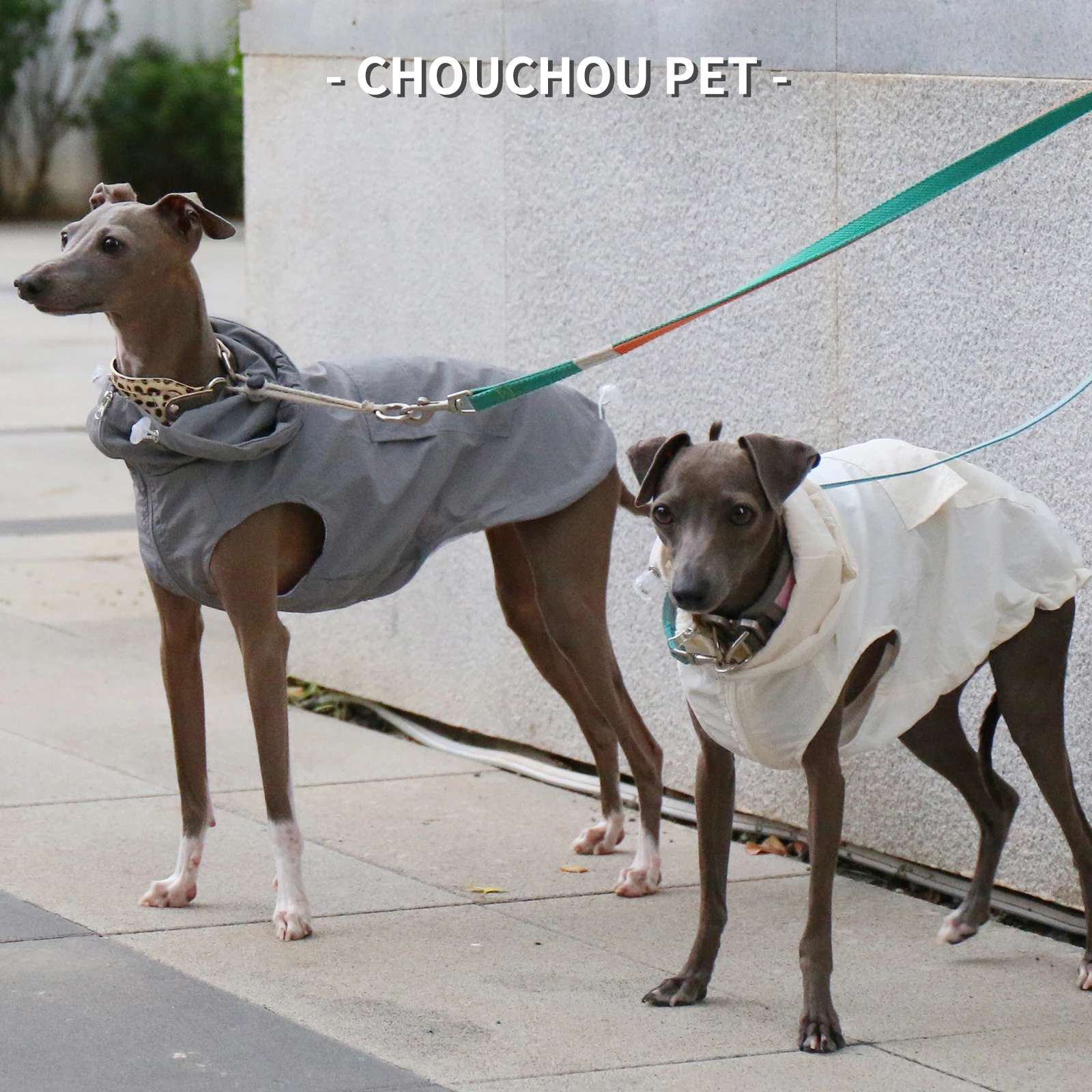 Otoño galgo Whippet Iggy chaleco con capucha para mascotas impermeable e impermeable ropa para perros con cremallera ajustable