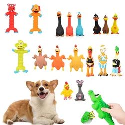 Juguete chirriante de goma para perros – masticable en látex pollo