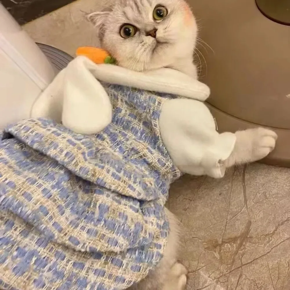 Abrigo de lana con flores para perro, ropa bonita con orejas de conejo, Schnauzer oso de peluche, vestido de princesa para perro pequeño y cachorro, Otoño e Invierno - imagen 2