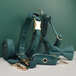 Collar y correa para perro con placa grabada
