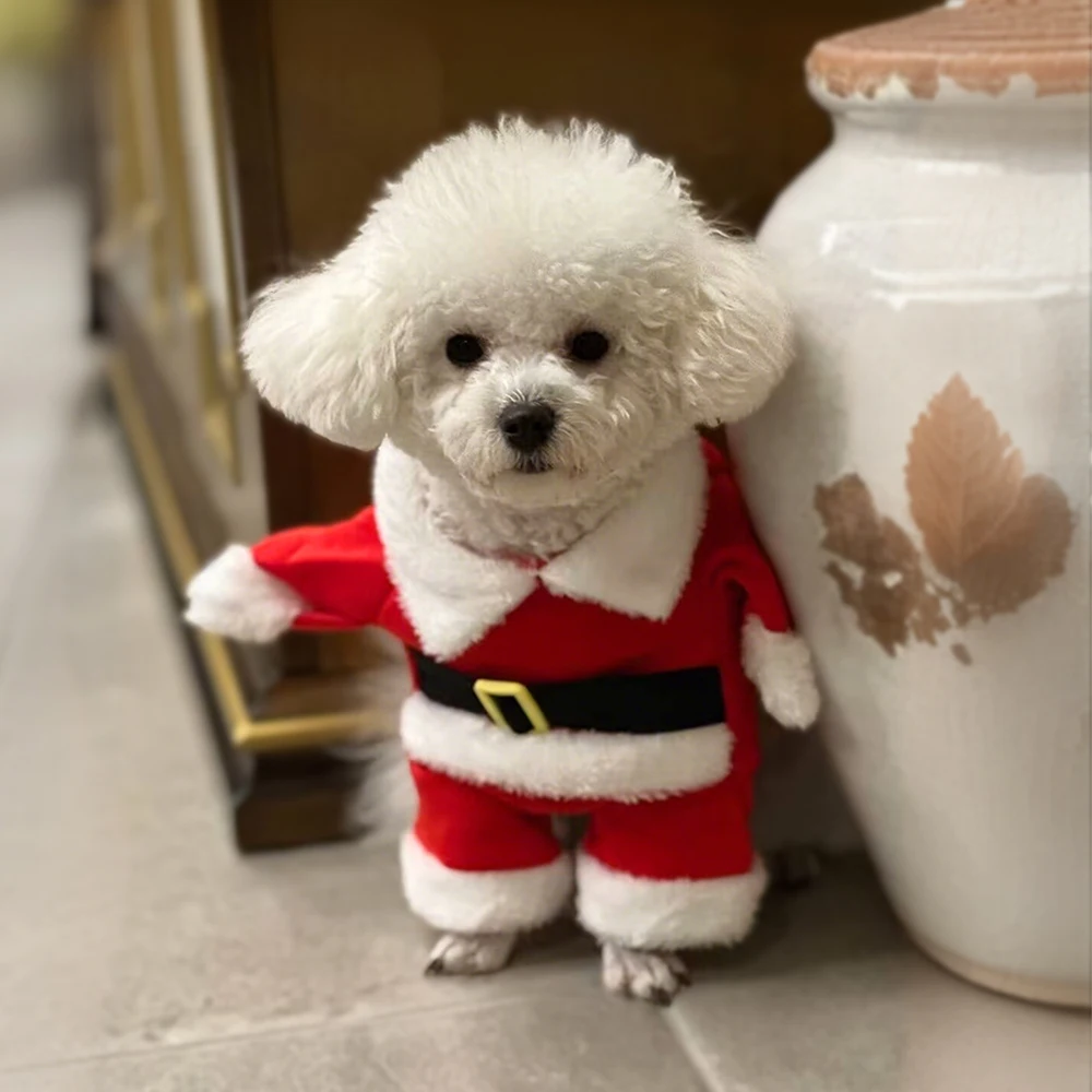 Trajes de Papá Noel para mascotas, ropa de Cosplay para perros pequeños y gatos, bonito disfraz de Navidad para perros, mono para cachorros, regalos de vestir de Año Nuevo - imagen 5