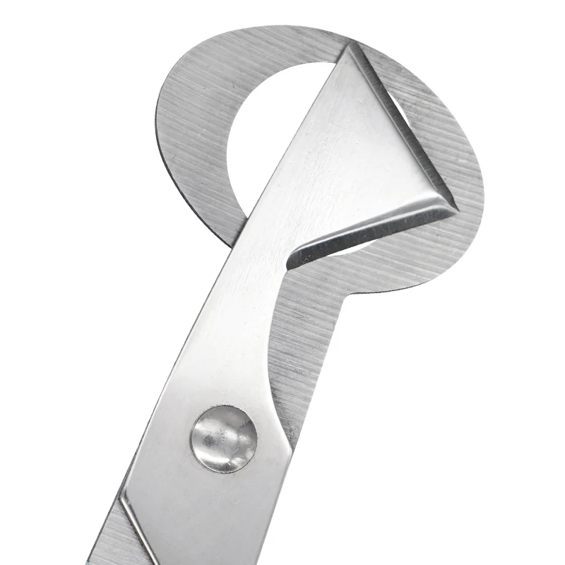 Cortador de huevos de codorniz de acero inoxidable, tijeras para palomas, pájaros, abridor de huevos de codorniz, herramienta cortadora de cocina, 5 uds. - imagen 5