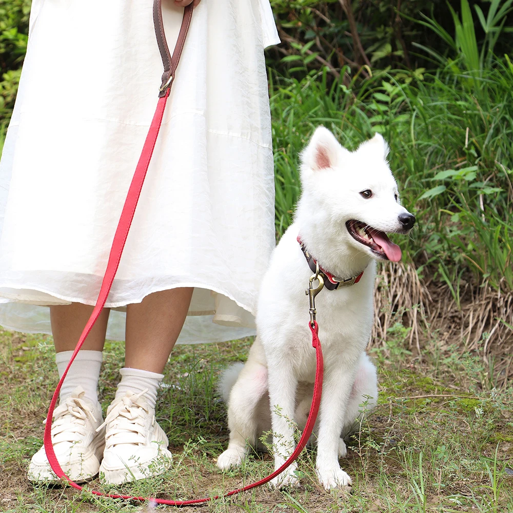 Correa para perro de 4,5 pies, cuerda de cuero PU de 9 colores, correas acolchadas de nailon para perros pequeños, medianos y grandes, correa para caminar, cuerdas de plomo para perro - imagen 5