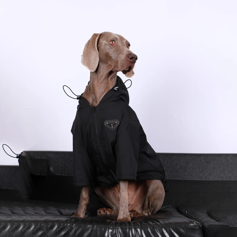 Abrigo con capucha de perro de lujo, chaqueta impermeable de intercambio para perros grandes, disfraz de perros grandes, diseño de moda, suministros de trajes de Golden Retriever - imagen 3