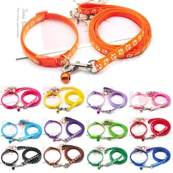 Collar identificador grabable para perro con placa de identificación