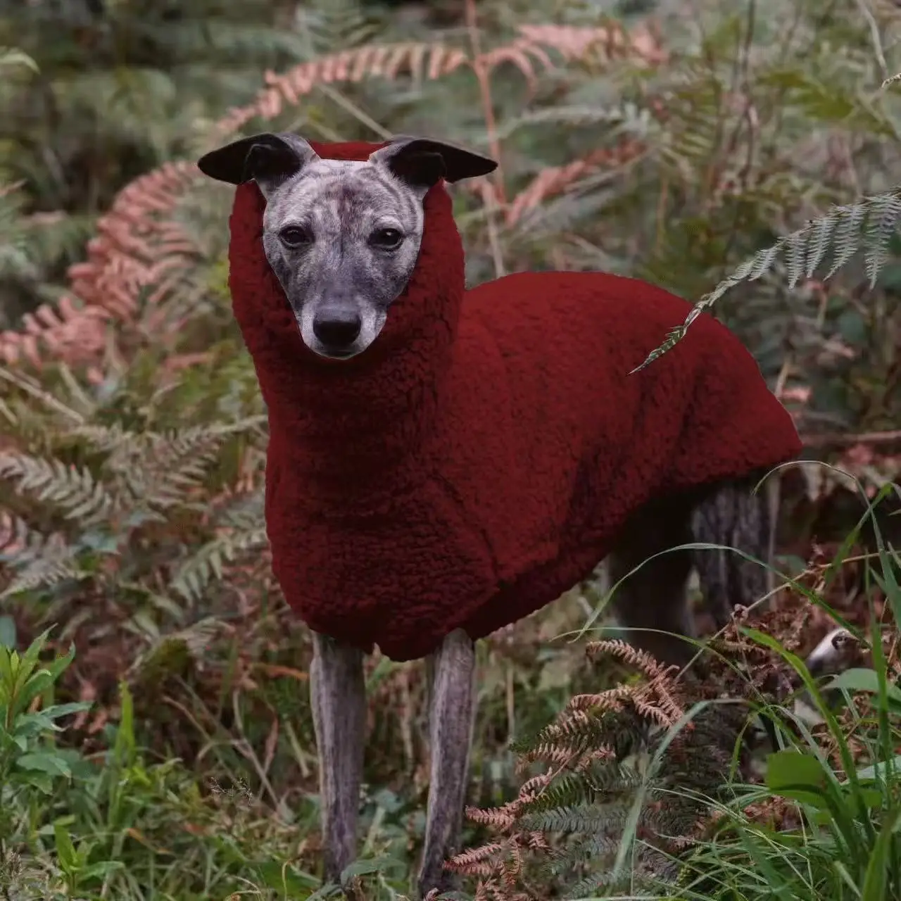 Suéter de lana rojo de invierno para Whippet, sudadera de manga gruesa y cálida con cuello alto para galgo italiano, ropa de Navidad de Año Nuevo - imagen 2