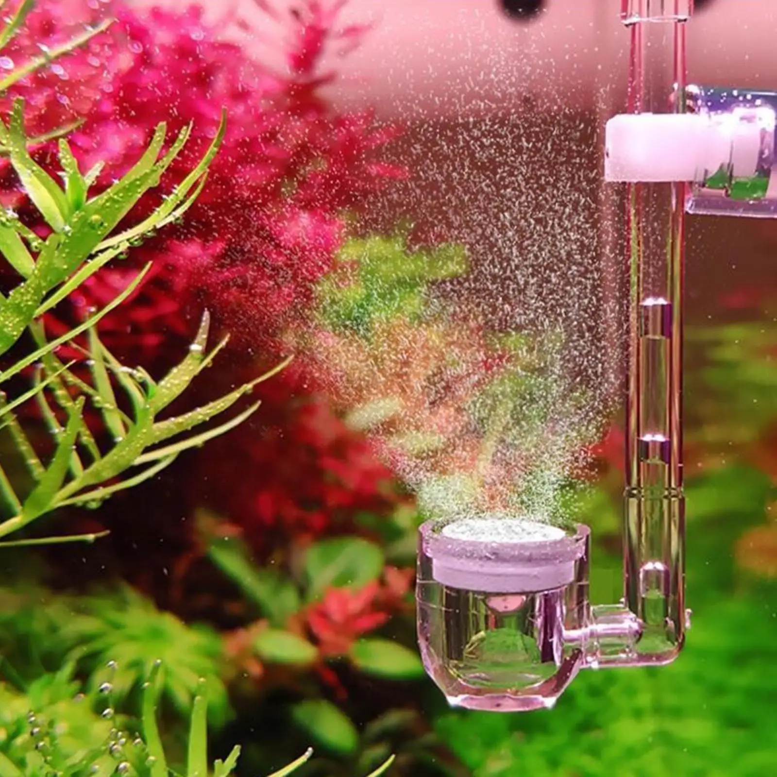 Difusor de CO2 para acuario, difusor de burbujas para acuario hidropónico, estanque, cubo pequeño, difusor de CO2 transparente