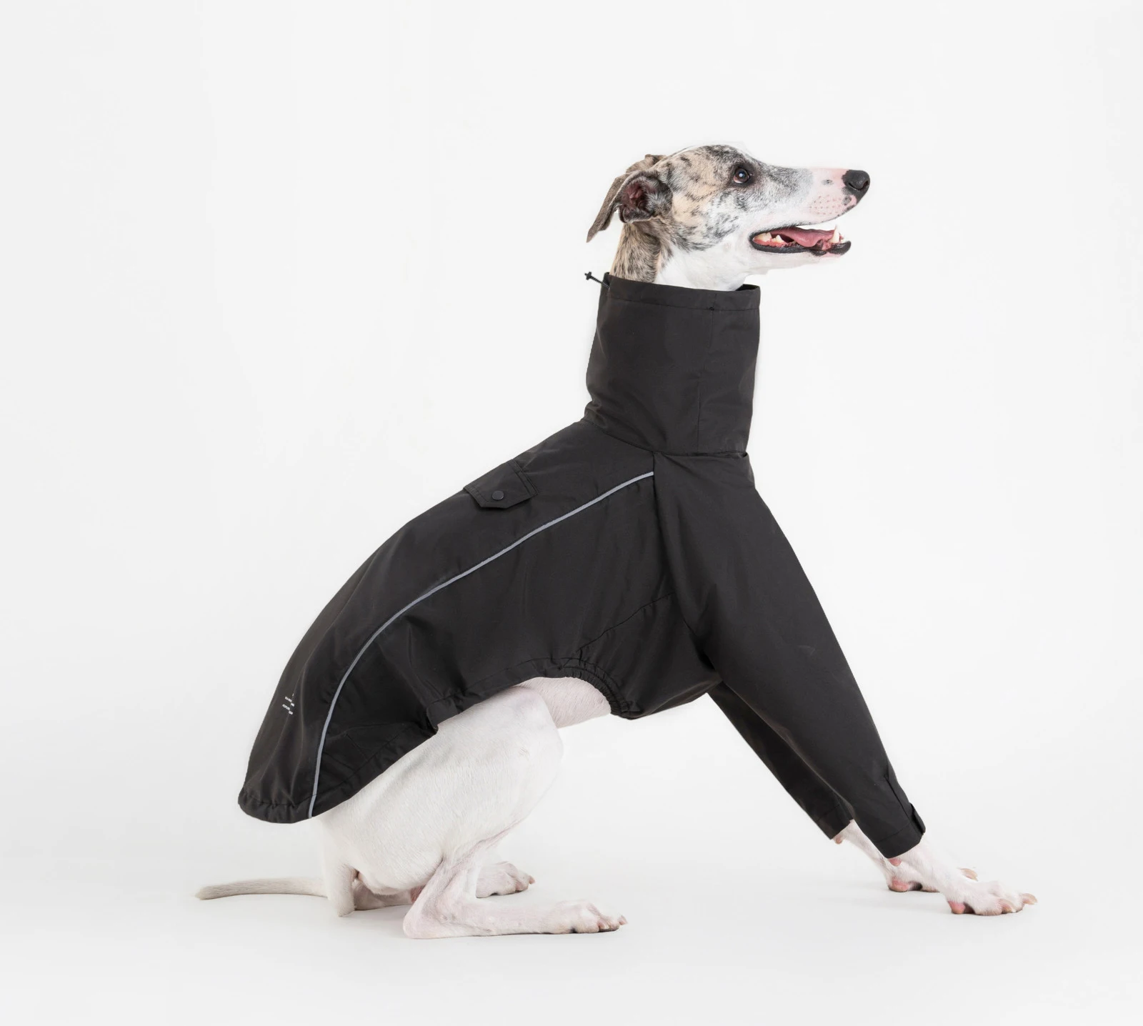 Chaqueta impermeable para perros pequeños y medianos tipo Whippet - imagen 3