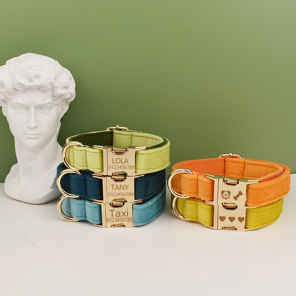 Collar y correa acolchados dorado – Set para perros grandes - imagen 5