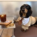 Cpffee