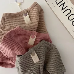 Camisa cómoda primavera para gatos y perros pequeños