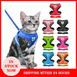 Kit de paseo para gato y perro con arnés, collar y correa extensible
