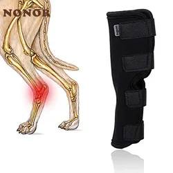 Vendaje protector de pata para perros – Recuperación articular