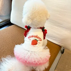 Vestido de princesa de malla de fresa para mascotas, chaleco de cereza de verano, ropa para gatos, falda con tirantes, falda abombada para perros pequeños, vestidos para perros pequeños