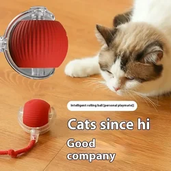 Juguete automático recargable para gatos – Pelota rodante y teaser inteligente