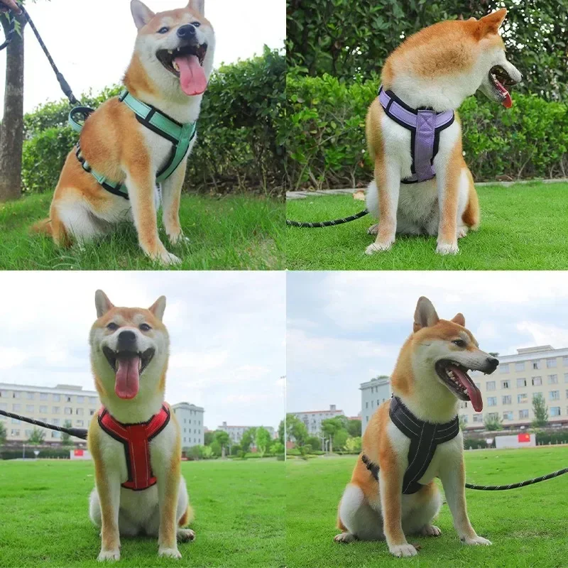 Correa de pecho para mascotas, cuerda para caminar para perros pequeños y medianos, dos piezas, nueva - imagen 5