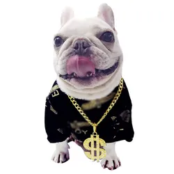 Collar diamante dorado para perros y gatos – Elegante y ajustable