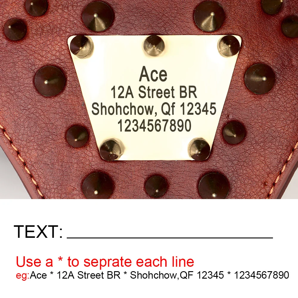 Arnés de cuero personalizado para perro, chaleco con tachuelas y pinchos, identificación personalizada, para perros medianos y grandes, Pitbull, Bulldog - imagen 2