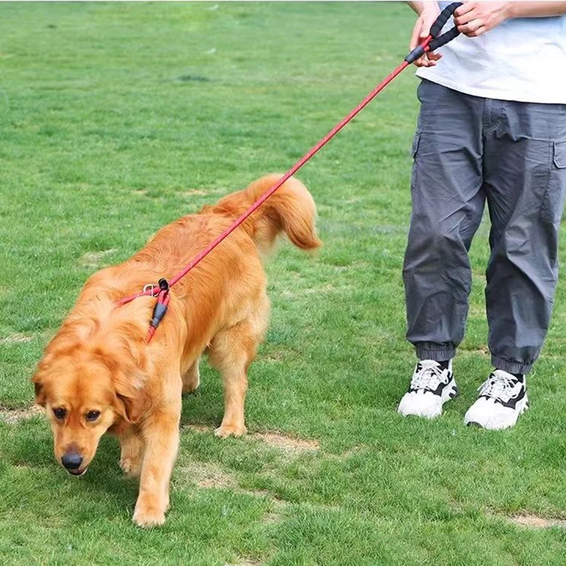 Correa de nailon para entrenamiento de perros grandes P Chian, correa resistente para mascotas para perros medianos y grandes, correas para pastor Labrador, accesorios para mascotas - imagen 4