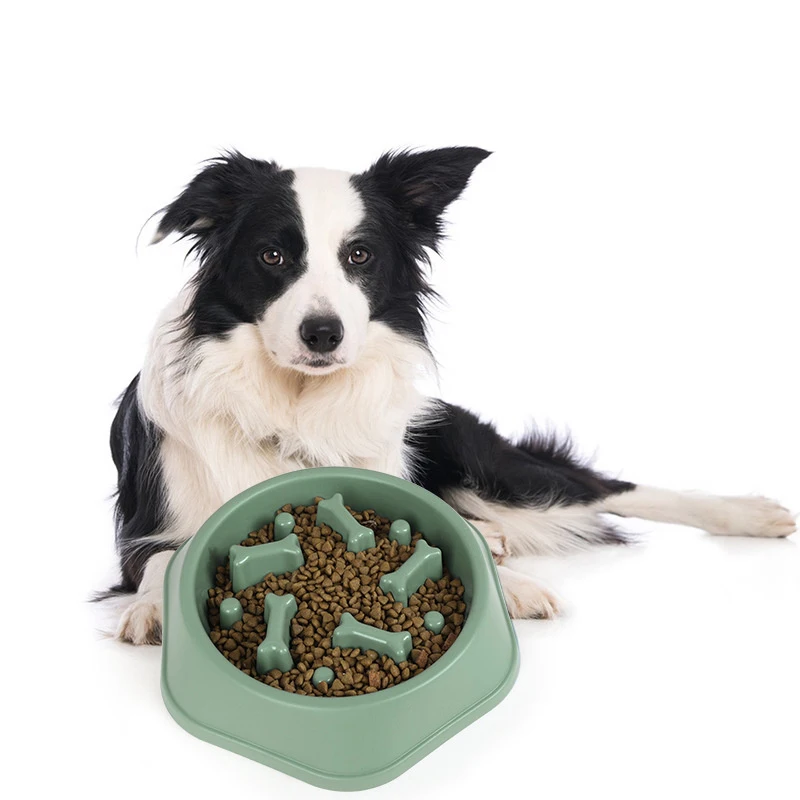Comedero de alimentación lenta para perros - evita atracones - imagen 2