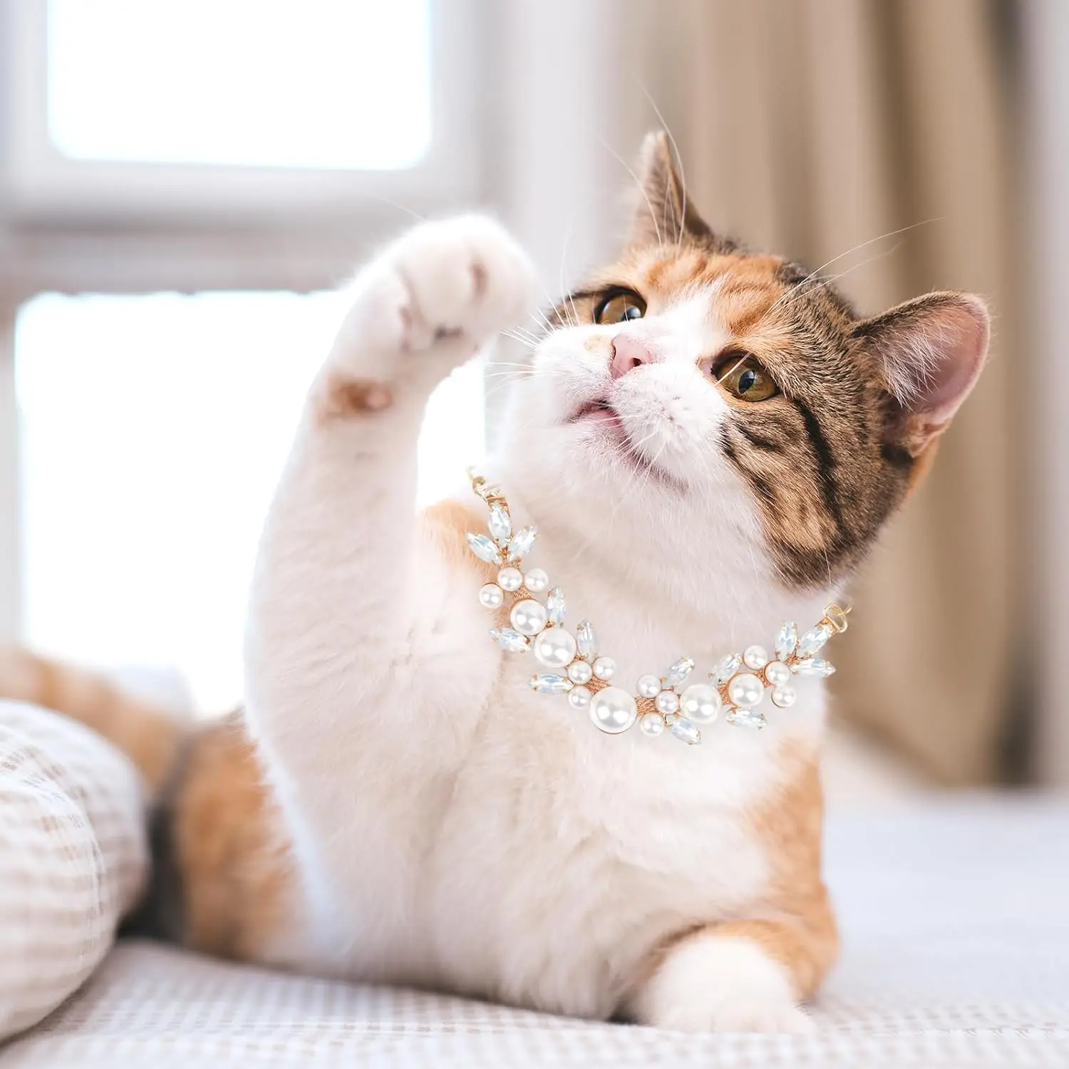 Accesorios de joyería de cristal para Gato, Collar ajustable de lujo con piedras preciosas ostentosas para cachorros y gatitos, a la moda - imagen 2