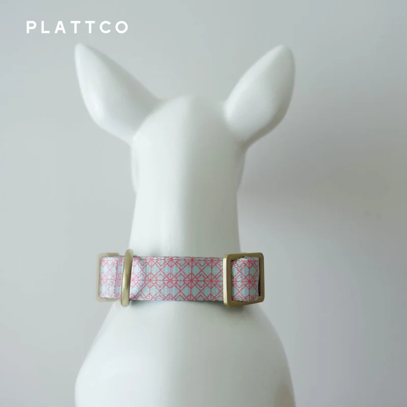 PLATTCO-Collar de nailon ajustable para perro y gato pequeño, accesorio para mascotas, suave, cómodo y duradero, suministros para cachorros, Aqua Glaze - imagen 4