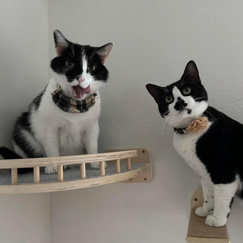 Centro de actividades para gatos montado en la pared Estantes de madera para gatos Columnas rascadores y cuerda de escalada para gatitos y gatos adultos para escalar - imagen 3