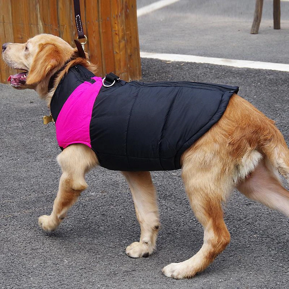 Chaleco impermeable para perros y cachorros, chaqueta cálida de invierno para perros, chaleco acolchado para mascotas, chaqueta con cremallera, abrigo para perros pequeños, medianos y grandes - imagen 3