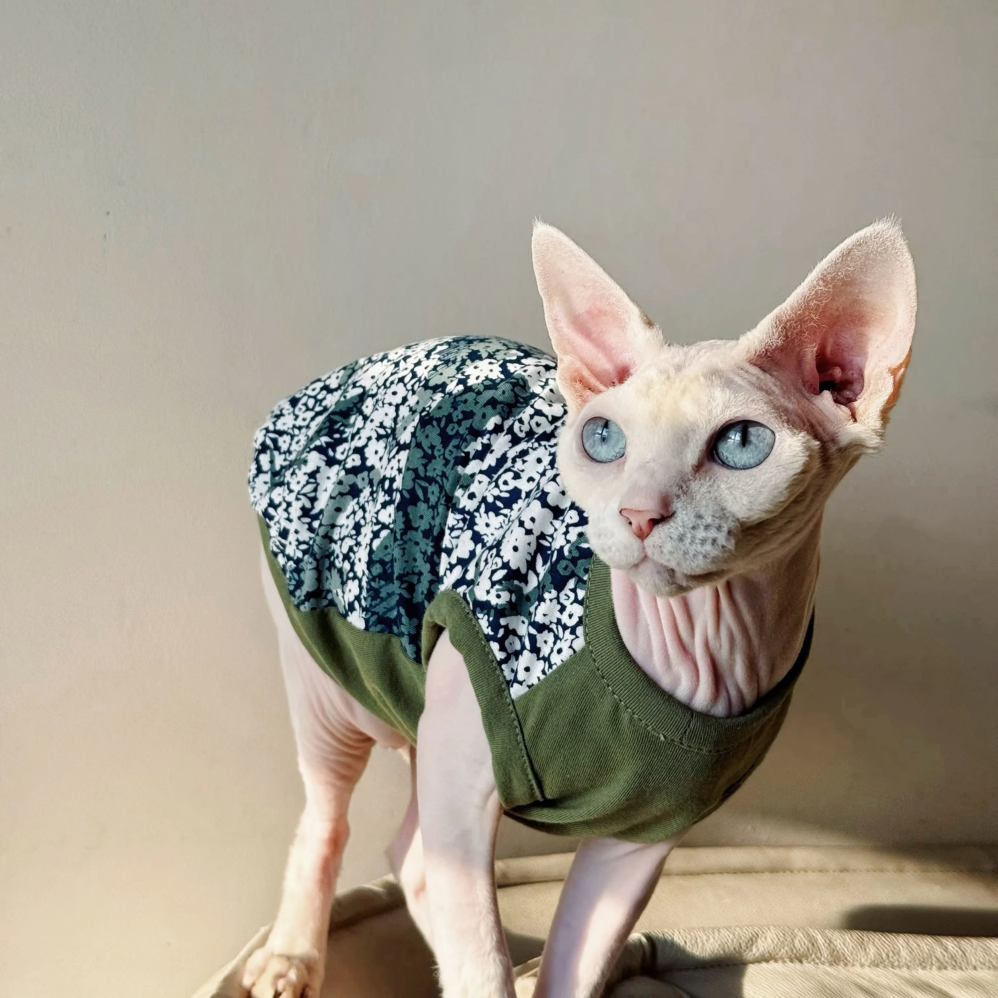 Camiseta de algodón para gato Sphynx – Ropa suave sin pelo - imagen 3