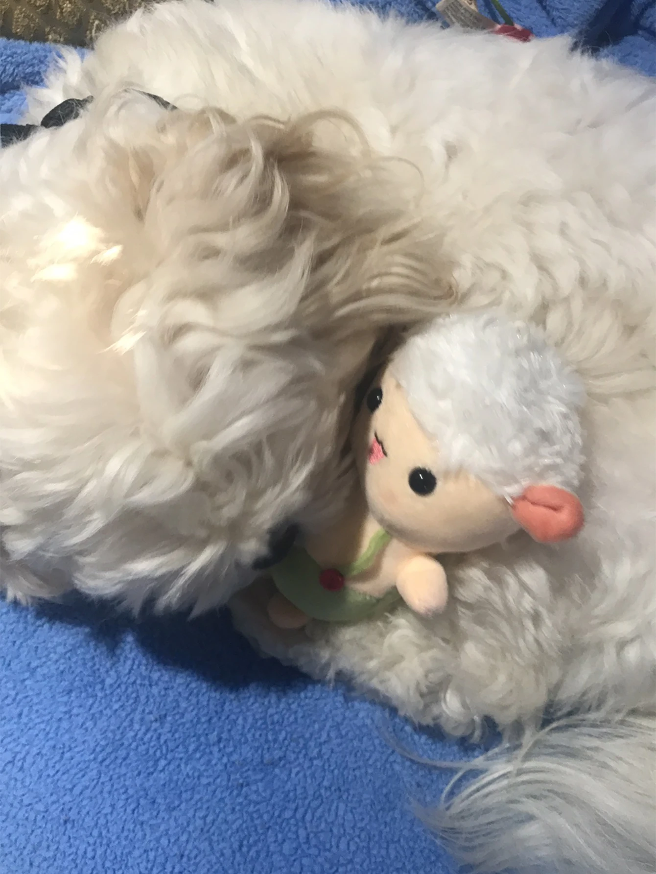 Detalle de la ropa de trabajo del peluche de oveja