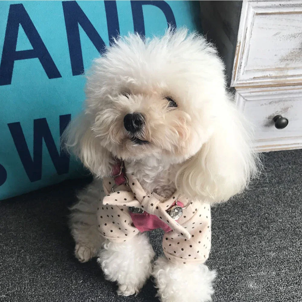 Falda con tirantes de Color brillante para perro y gato, prenda bonita de peluche, método Bichon, ropa de lucha para cachorros, Mono para perros - imagen 4